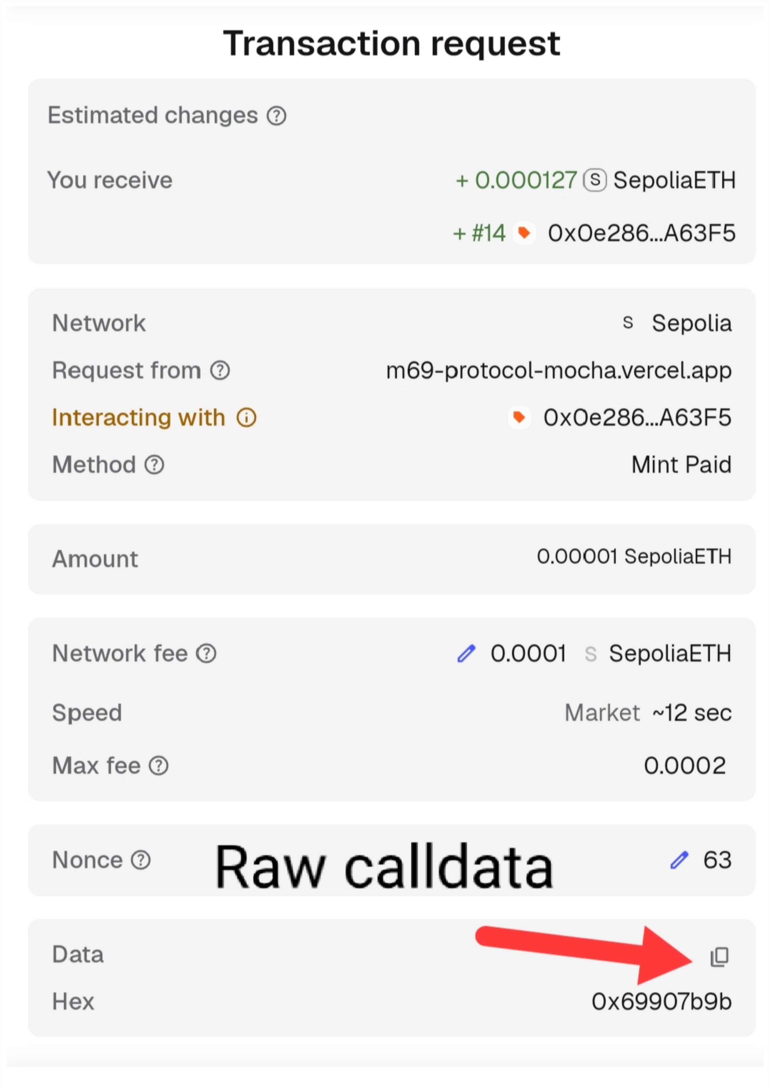 Raw Calldata Tutorial